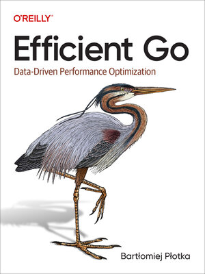 cover image of Efficient Go